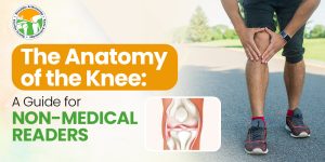 Read more about the article The Anatomy of the Knee: A Guide for Non-Medical Readers